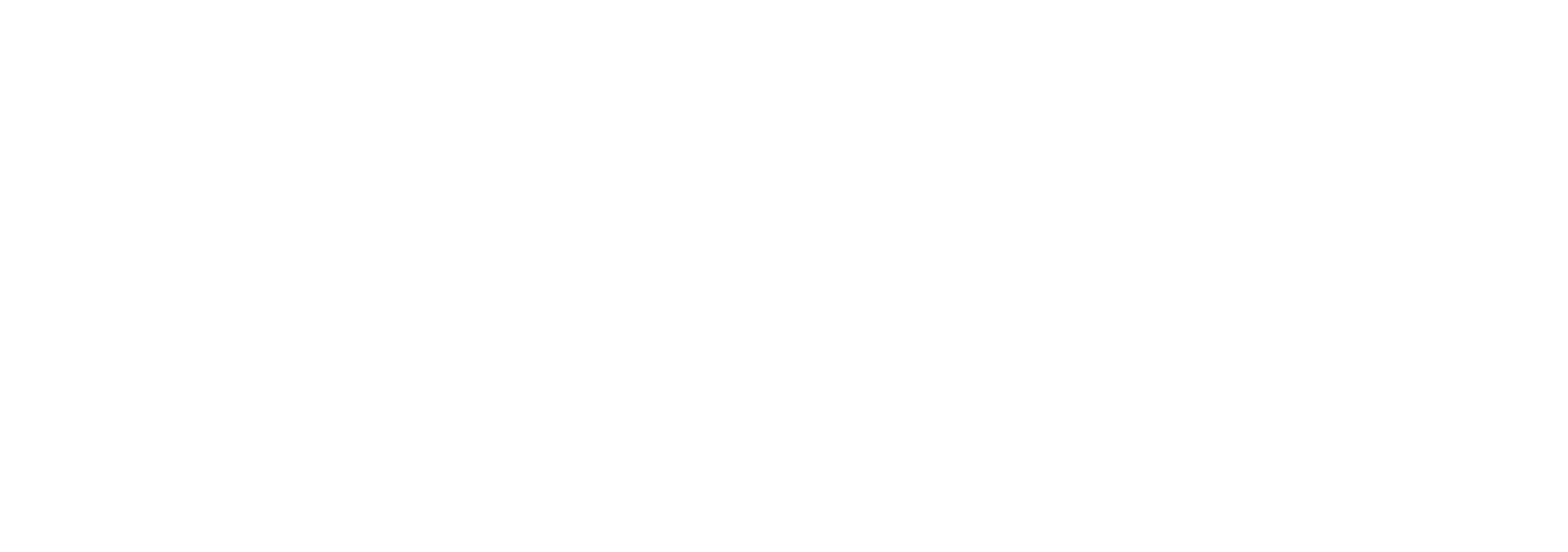 logo nds